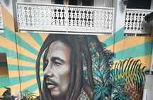 Full Day Tour to Bob Marley's Birthplace and Dunn’s River Falls 