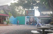 Full Day Tour to Bob Marley's Birthplace and Dunn’s River Falls 