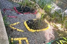 Full Day Tour to Bob Marley's Birthplace and Dunn’s River Falls 