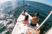 4-Hour Private Whale Watching in Puerto Vallarta