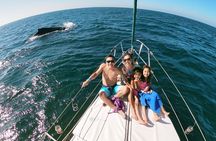 4-Hour Private Whale Watching in Puerto Vallarta