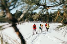 Taos Backcountry Snowshoe Tour