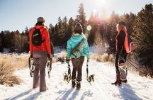 Taos Backcountry Snowshoe Tour