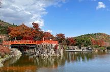 Private & Customized - Kansai Cycle tour
