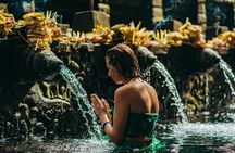 Bali: Ubud Rice Terraces,Swing, Monkey Forest Private Tour