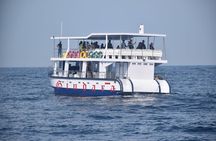 Whale Watching Galle with Pickup & Drop