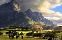 Full Day Private Tour in Cape Town. With free photo shoot.