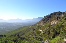 Full Day Private Tour in Cape Town. With free photo shoot.