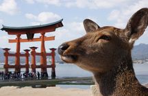 Hiroshima and Miyajima Bus Tour with Indian Lunch