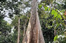 6D/5N Offbeat Walking Holiday in South and Middle Andamans
