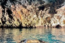 Private 3-hour Speedboat Our Lady of the Rock and Blue Cave