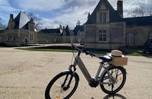 Loire Valley Ebike Tour to Chambord from Amboise