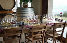 Wine Tasting Experience Etna Nord