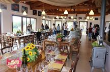 Wine Tasting Experience Etna Nord