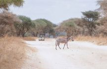 Tanzania WildQuest Safari Custom Private Tour