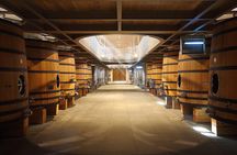 Full Day Tour Saint Emilion with lunch two Chateaux and Village 