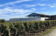 Saint-Emilion Winery Morning Tour with Local Guide