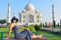 From Delhi: Sunrise Taj Mahal Tour With Elephant Conservation