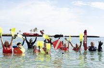 Snorkeling Tour with Fish and Turtles in San Juan