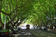 St Kilda Super Tour in Melbourne