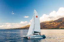 Midday Whale Watch: Mā’alaea Harbor
