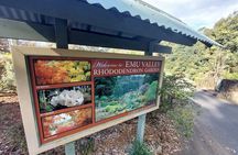 Burnie Attractions Bus: Burnie Shore Excursion