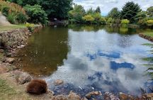 Burnie Attractions Bus: Burnie Shore Excursion