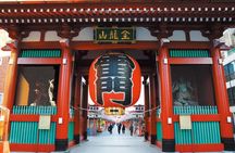 Dynamic Tokyo: Tokyo Tower, Tea Experience, Bay Cruise Day Tour