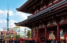 Dynamic Tokyo: Tokyo Tower, Tea Experience, Bay Cruise Day Tour