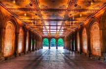 Pedicab 1 Hour Central Park Tour 