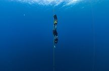 Beginner Freediving Course (with Bonus Session)