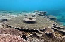 Kayak & Snorkel: private tour in Yanbaru, north Okinawa