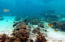 Kayak & Snorkel: private tour in Yanbaru, north Okinawa