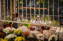 Wine Tasting & Food Experience Inside a Cretan Gorge