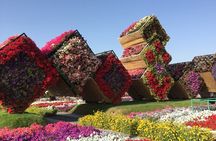 Private Tour of Dubai Experience the Diversity of the City