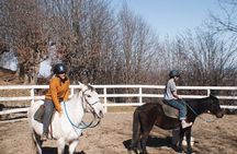Private Horse Trek to Natural Hot Springs in Azerbaijan