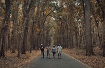 Banyuwangi Full Day Tour