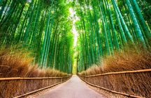 Private Tour Northern Cebu Adventure Full Day