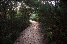 Lagoinha do Leste Hiking and Photography Adventure 