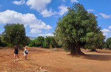 E-bike tour in Ostuni, the olive trees and the rock village