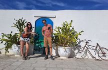 E-bike tour in Ostuni, the olive trees and the rock village