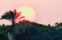 Two Full Days Tours Package Pyramids, Museums And Dinner Cruise