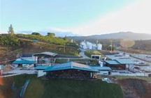 Poaz Volcano And Coffee Tour From JACO