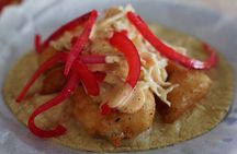 Mexico City: Food Tour with home made food (my home is your home)
