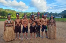 Tour to the Amazon for one day
