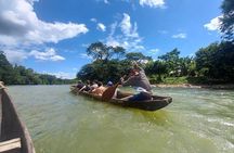 Tour to the Amazon for one day