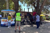 2 Hour Storms River Horse Trails Activity 