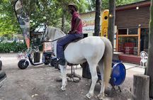 2 Hour Storms River Horse Trails Activity 