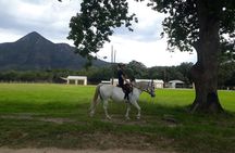 2 Hour Storms River Horse Trails Activity 