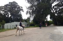 2 Hour Storms River Horse Trails Activity 